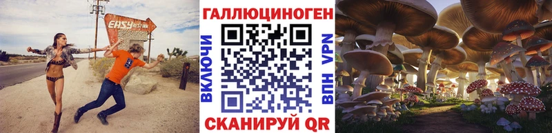 Галлюциногенные грибы Psilocybe  мега   Коркино  закладка 